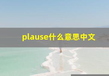 plause什么意思中文