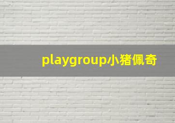 playgroup小猪佩奇