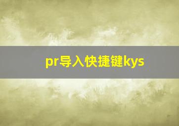 pr导入快捷键kys