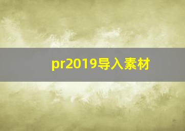 pr2019导入素材