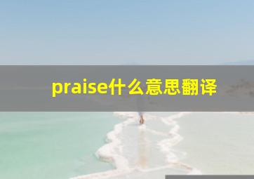 praise什么意思翻译