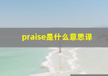 praise是什么意思译