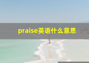 praise英语什么意思