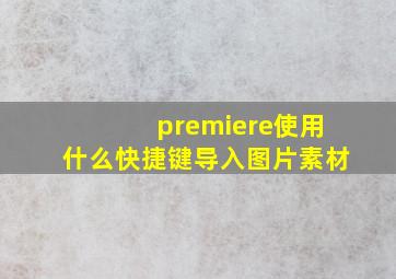 premiere使用什么快捷键导入图片素材