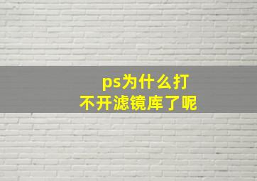 ps为什么打不开滤镜库了呢