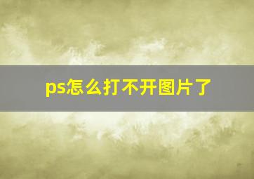 ps怎么打不开图片了