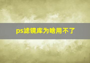 ps滤镜库为啥用不了