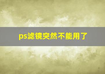 ps滤镜突然不能用了