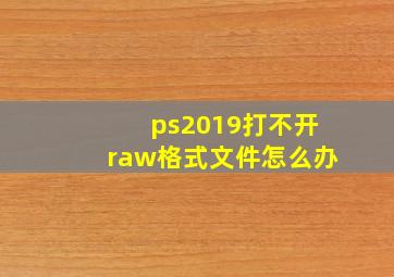 ps2019打不开raw格式文件怎么办