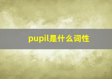 pupil是什么词性