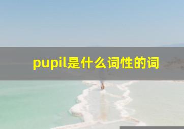 pupil是什么词性的词