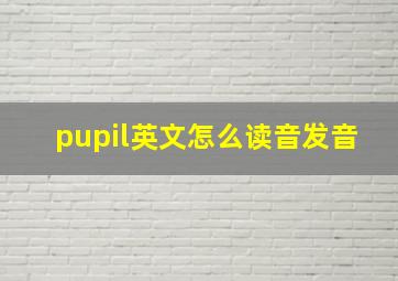 pupil英文怎么读音发音