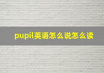 pupil英语怎么说怎么读