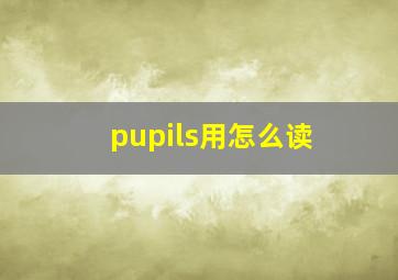 pupils用怎么读