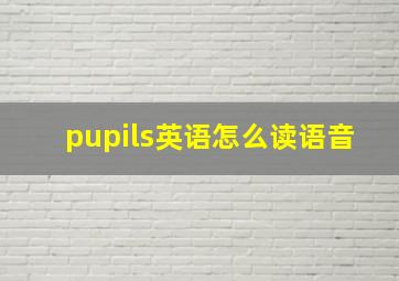 pupils英语怎么读语音