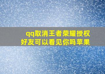 qq取消王者荣耀授权好友可以看见你吗苹果