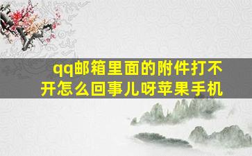 qq邮箱里面的附件打不开怎么回事儿呀苹果手机