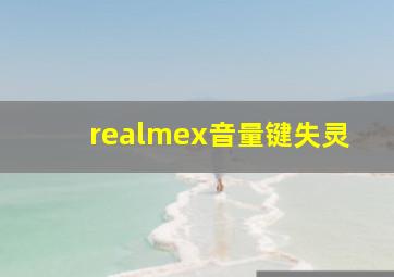 realmex音量键失灵