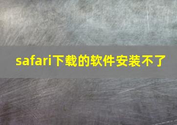 safari下载的软件安装不了