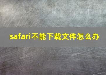 safari不能下载文件怎么办