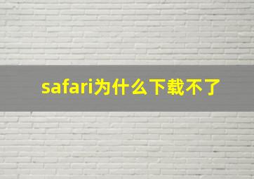 safari为什么下载不了