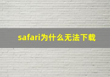 safari为什么无法下载