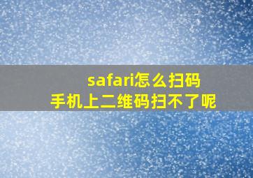 safari怎么扫码手机上二维码扫不了呢