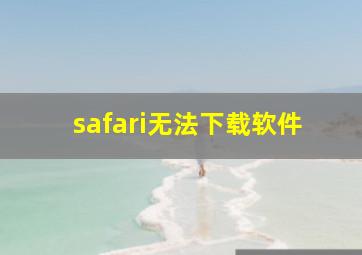 safari无法下载软件