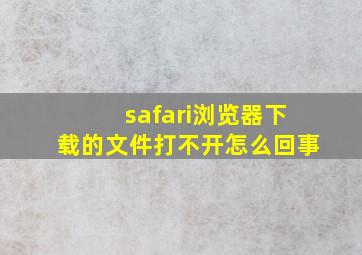 safari浏览器下载的文件打不开怎么回事