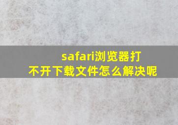 safari浏览器打不开下载文件怎么解决呢