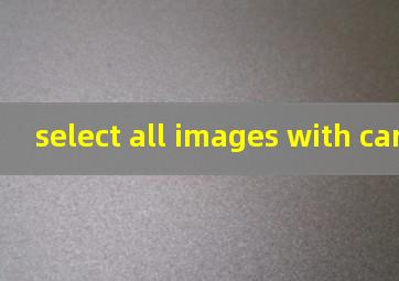 select all images with cars翻译