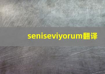 seniseviyorum翻译