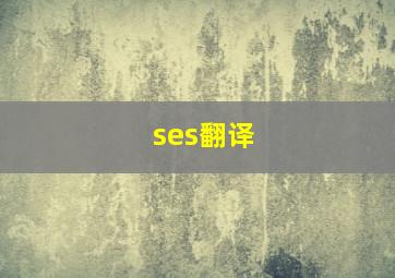 ses翻译