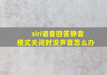 siri语音回答静音模式关闭时没声音怎么办