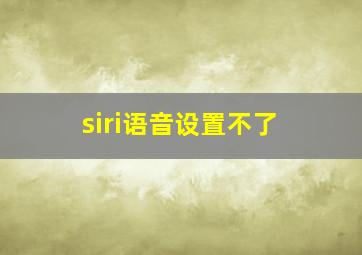 siri语音设置不了