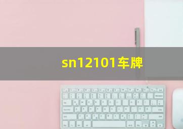 sn12101车牌