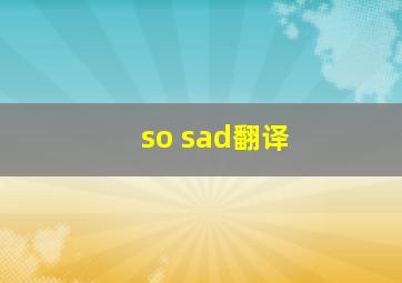 so sad翻译