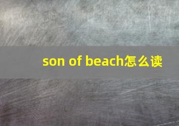 son of beach怎么读