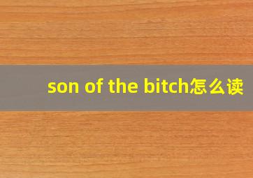 son of the bitch怎么读