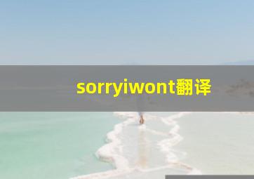 sorryiwont翻译