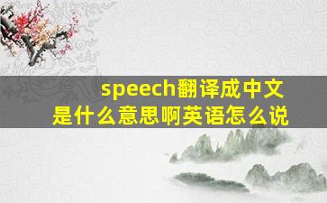 speech翻译成中文是什么意思啊英语怎么说