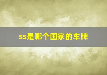 ss是哪个国家的车牌