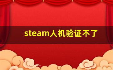 steam人机验证不了