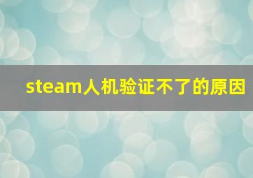 steam人机验证不了的原因