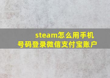 steam怎么用手机号码登录微信支付宝账户