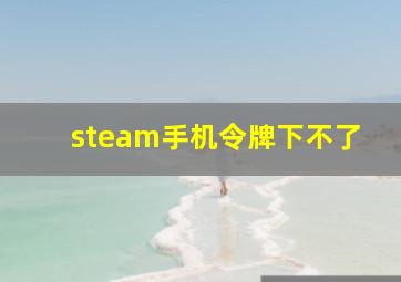 steam手机令牌下不了