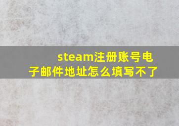 steam注册账号电子邮件地址怎么填写不了