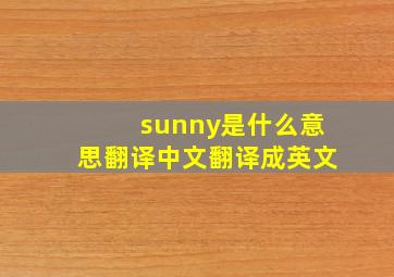 sunny是什么意思翻译中文翻译成英文