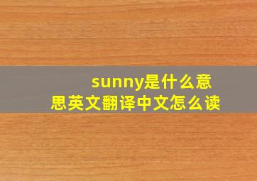 sunny是什么意思英文翻译中文怎么读