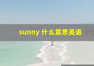 sunny 什么意思英语